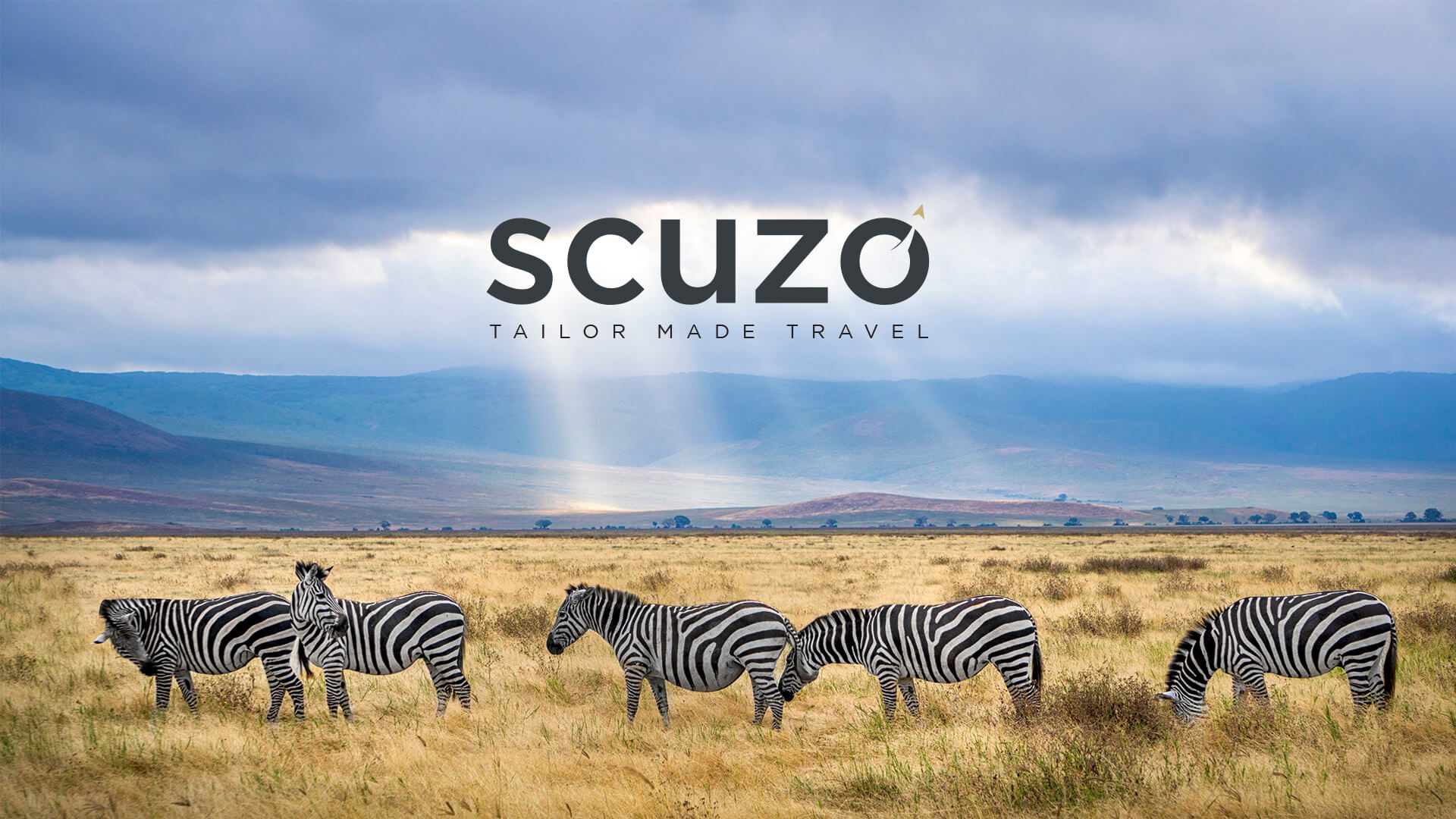 Scuzo Travel Marka Kimliği